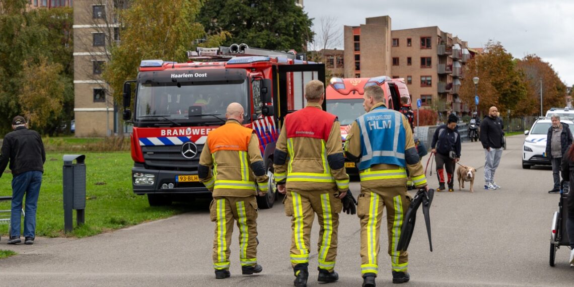 Man aangehouden die tegen auto schopt en in water springt bij Reinaldapark