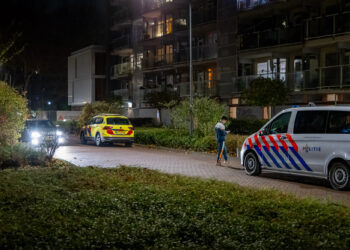 Tieners met skeletmaskers beroven kinderen in Haarlem tijdens Sint-Maarten