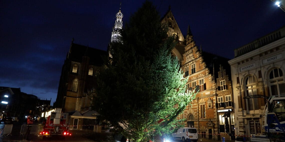 Metershoge kerstboom weer op z’n plek in Haarlem: ‘10.000 lampjes gaan straks aan’