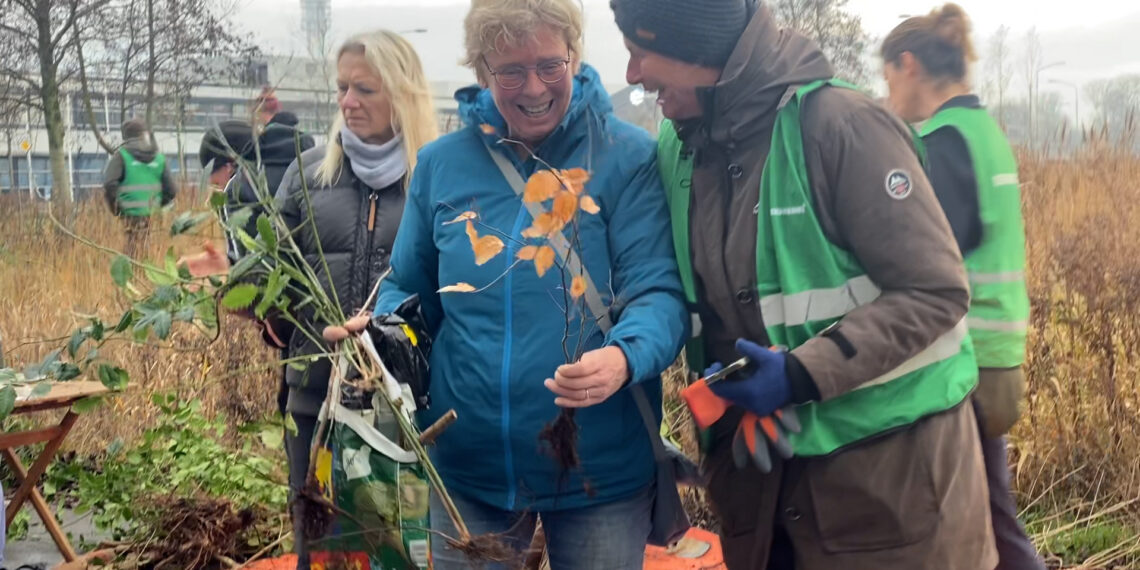 Gratis boompjes in de Waarderpolder: ‘Ik zie graag meer groen’