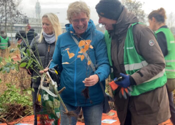 Gratis boompjes in de Waarderpolder: ‘Ik zie graag meer groen’
