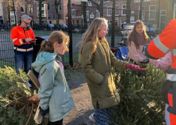 Op jacht naar kerstbomen in Haarlem: ‘Wij hebben onze geheime plek’