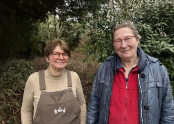 Permacultuurtuin dreigt te verdwijnen onder zandlaag: ‘Alles gaat dan dood’